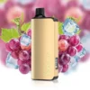 ALIBARBAR INGOT 9000 Puffs Grape Ice 4526380661.webp