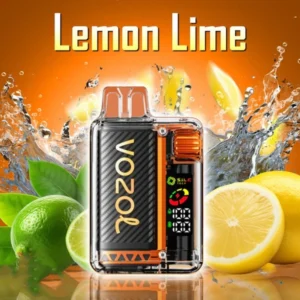 vozol vista 20000 puffs – 10 packs or more