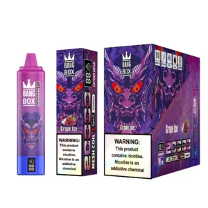 bangbox 20000 puffs 10 packs or more