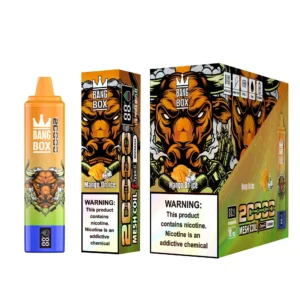 bangbox 20000 puffs 10 packs or more