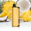 Alibarbar INGOT 9000 Pineapple Coconut import placeholder for 26579