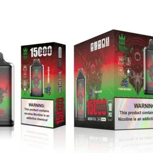 bang box 15000 puff 10 packs or more