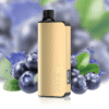 ALIBARBAR INGOT Blueberry Blast 9000 Puffs 10 pack on sale blueberry blast.png