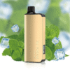 ALIBARBAR INGOT Cool Mint 9000 Puffs 10 pack on sale import placeholder for 4249