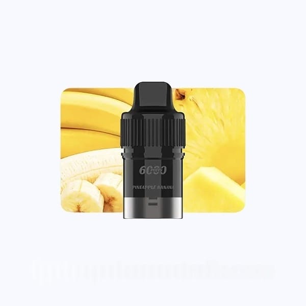 import placeholder for 5025 import placeholder for 5025