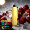 ALIBARBAR PRO 12000 Ice Adjust Strawberry Raspberry import placeholder for 17837