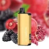 ALIBARBAR INGOT Blackberry Pomegranate Cherry 9000 Puffs 10 pack on sale import placeholder for 17959