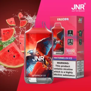 jnr falcon 16000 puffs 30 packs (ship from oversea)