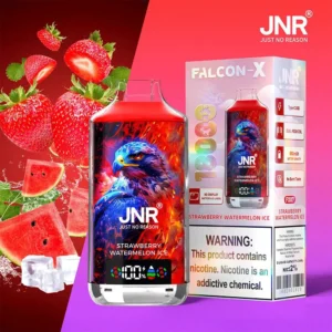 jnr falcon x 18000 puffs 30 pack (ship from oversea)